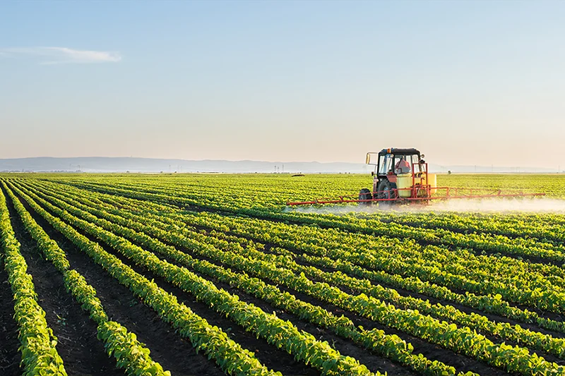खेतीपाती खेतीपाती