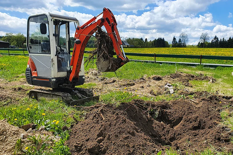 बगैचा बगैचा